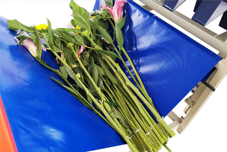 Fresh Cut Flowers Finishing Bundles