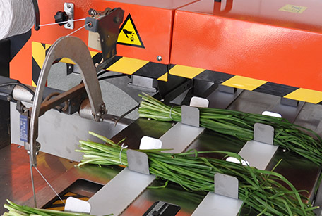 Vegetable Labeling And Bundling Line