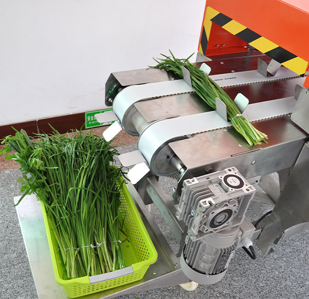 Laizhou R&D Center
